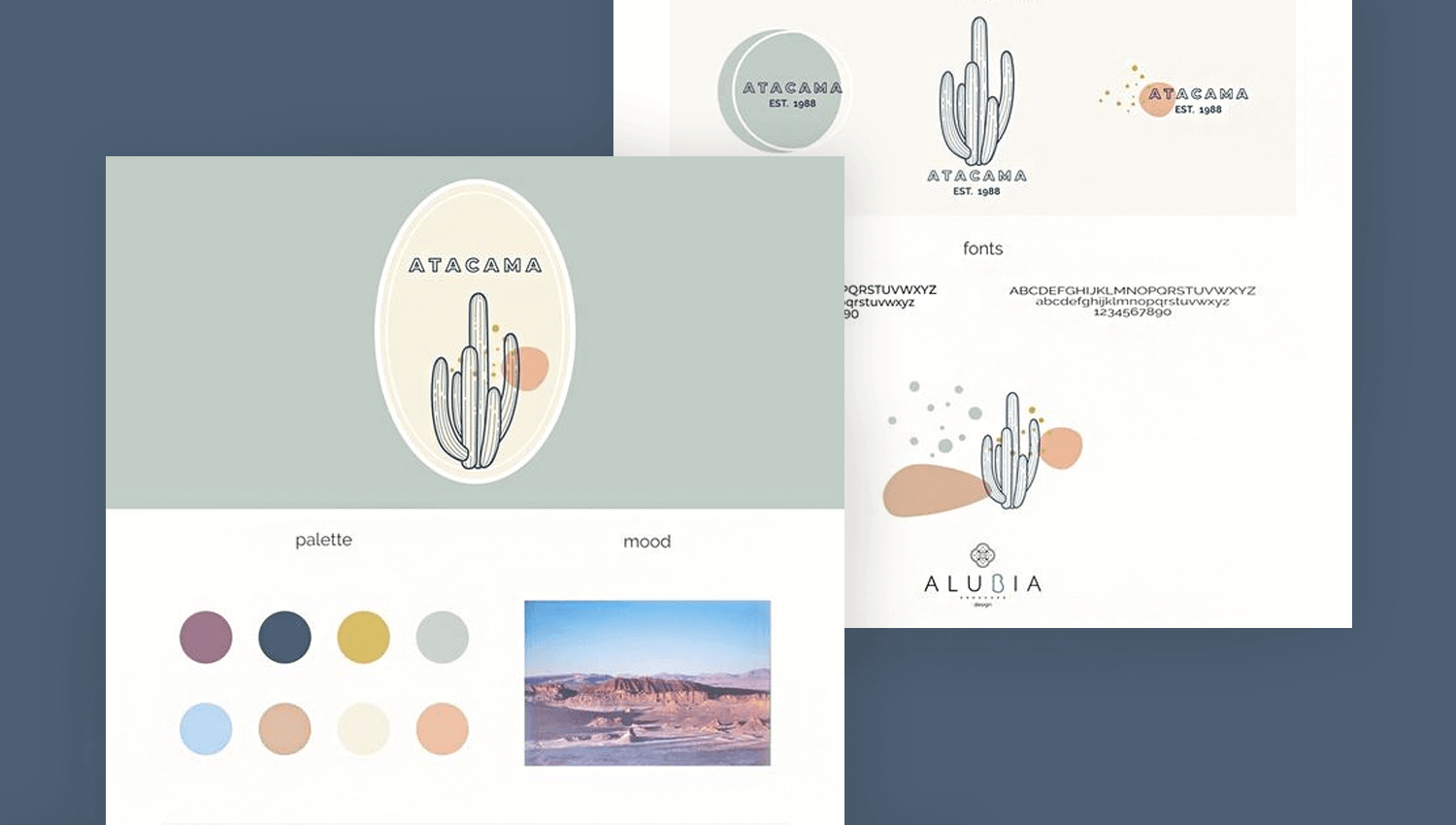 Mood board examples - rustic desert